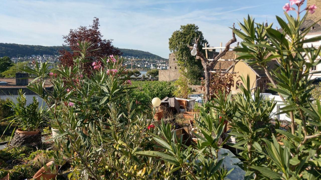 Apartmán Artstudio Rudesheim Rüdesheim am Rhein Exteriér fotografie