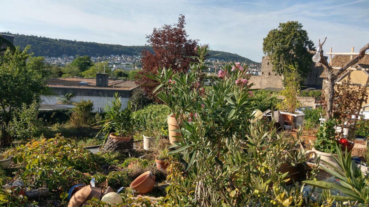 Apartmán Artstudio Rudesheim Rüdesheim am Rhein Exteriér fotografie