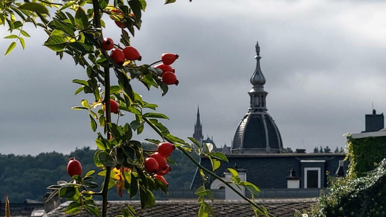 Apartmán Artstudio Rudesheim Rüdesheim am Rhein Exteriér fotografie